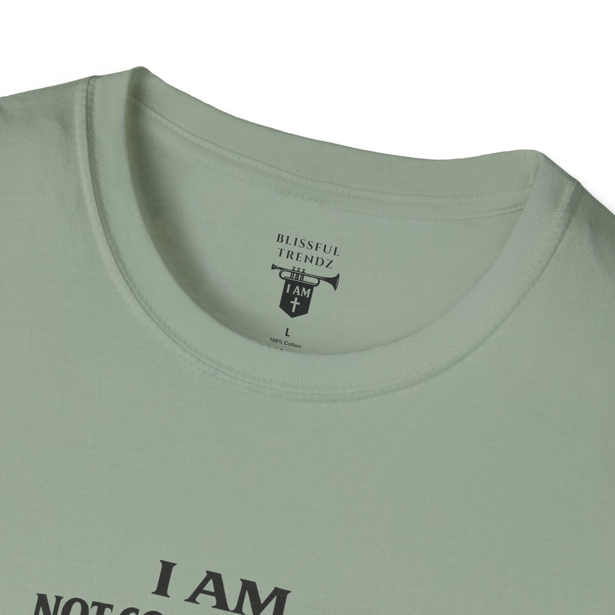 I AM Not Conforming - ROMANS 12:2 - Walking Against Current - Unisex Softstyle T-Shirt - Image 23
