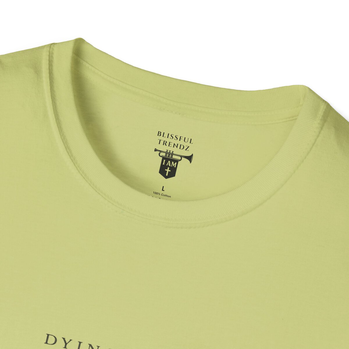 DYING DAILY - LIVING FULLY - LUKE 9:23 - TYPOGRAPHY - Unisex Softstyle T-Shirt - Image 20