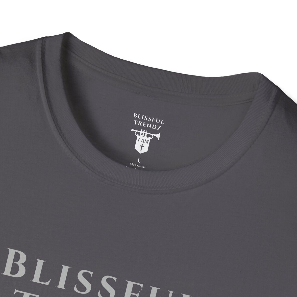 Blissful Trendz - I AM - Banners For The Battle - Raised For The Nations - GRY - Unisex Softstyle T-Shirt - Image 20