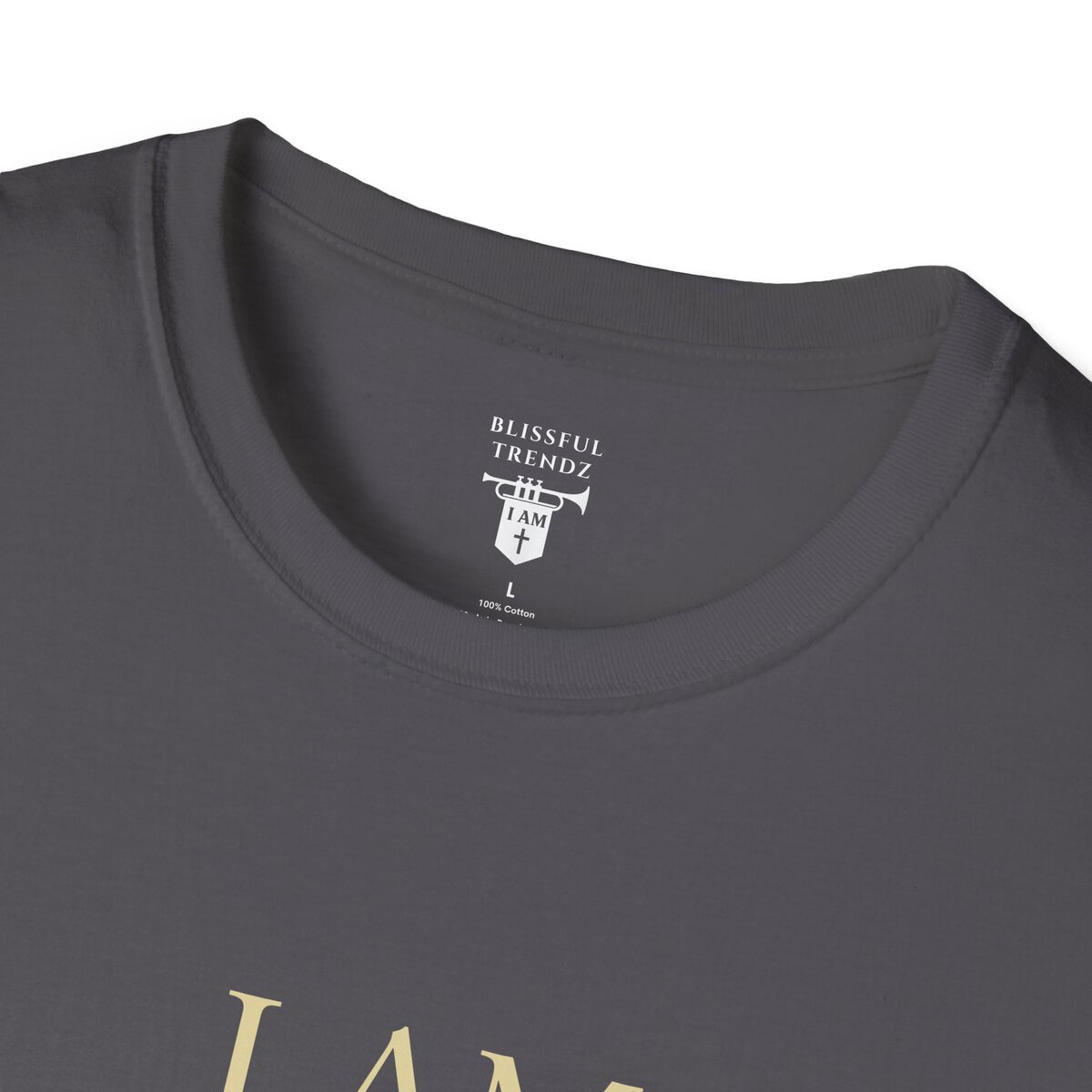 I AM Walking In Resurrection Power - Golden Path - Unisex Softstyle T-Shirt - Image 20