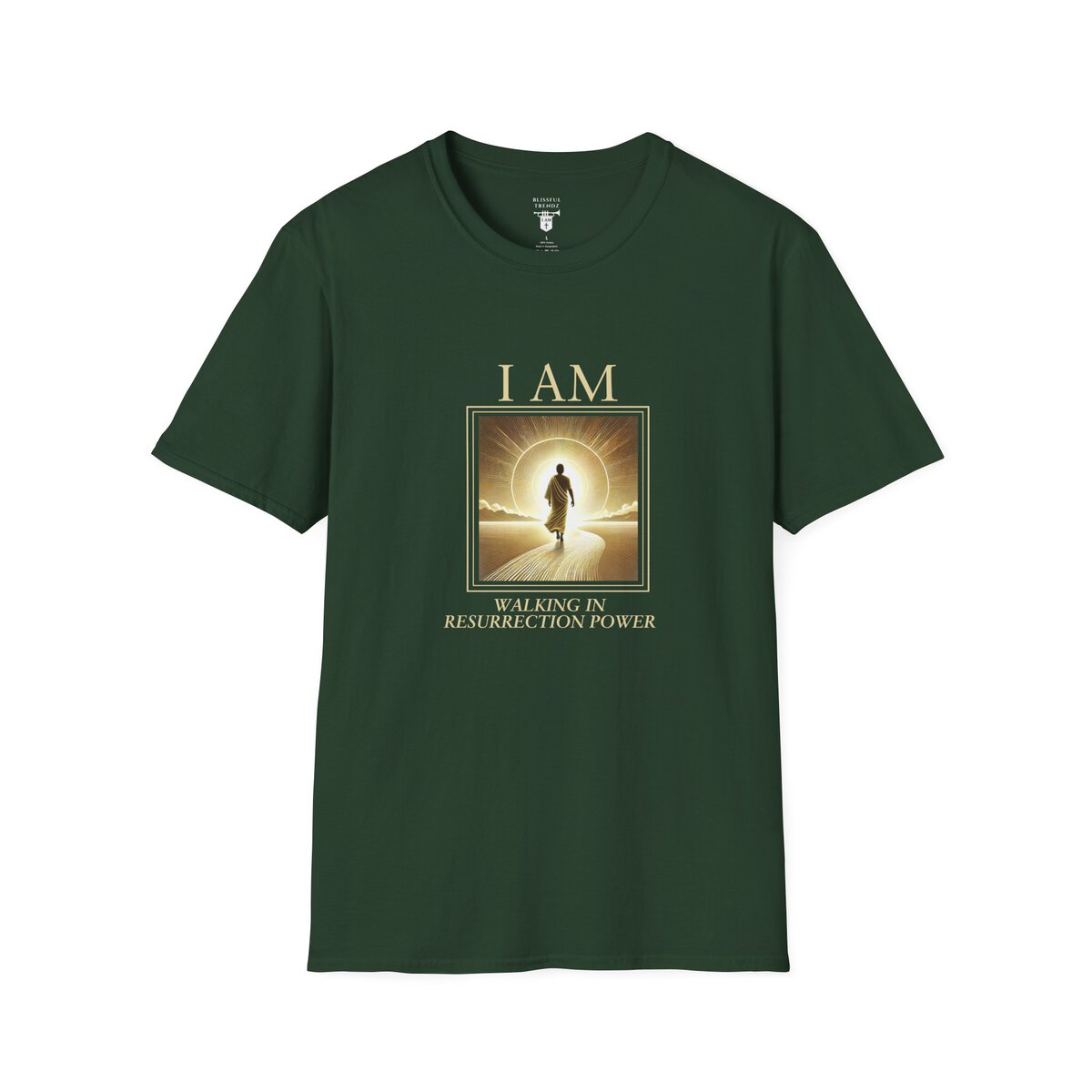 I AM Walking In Resurrection Power - Golden Path - Unisex Softstyle T-Shirt - Image 28