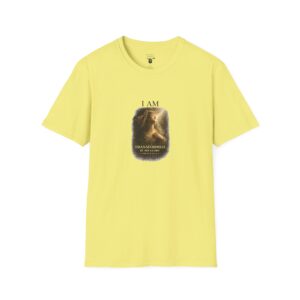 I AM Transformed By His Glory - 2 CORINTHIANS 3:18 - Veil Lifted - Unisex Softstyle T-Shirt