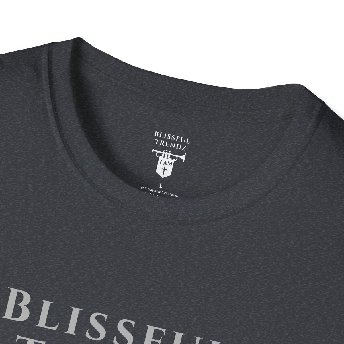 Blissful Trendz - I AM - Banners For The Battle - Raised For The Nations - GRY - Unisex Softstyle T-Shirt - Image 26