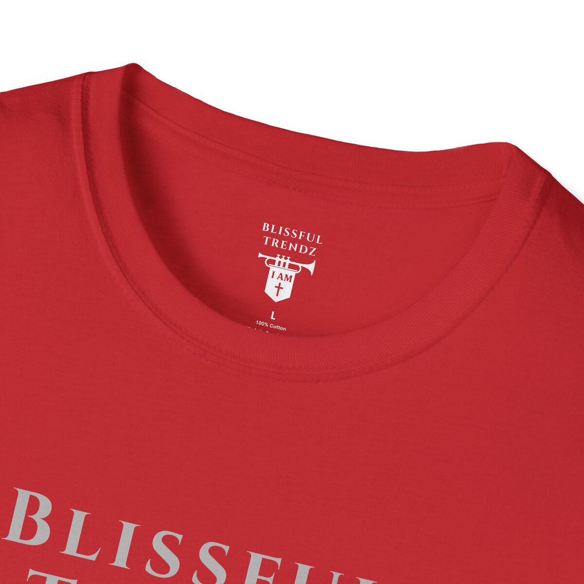 Blissful Trendz - I AM - Banners For The Battle - Raised For The Nations - GRY - Unisex Softstyle T-Shirt - Image 38
