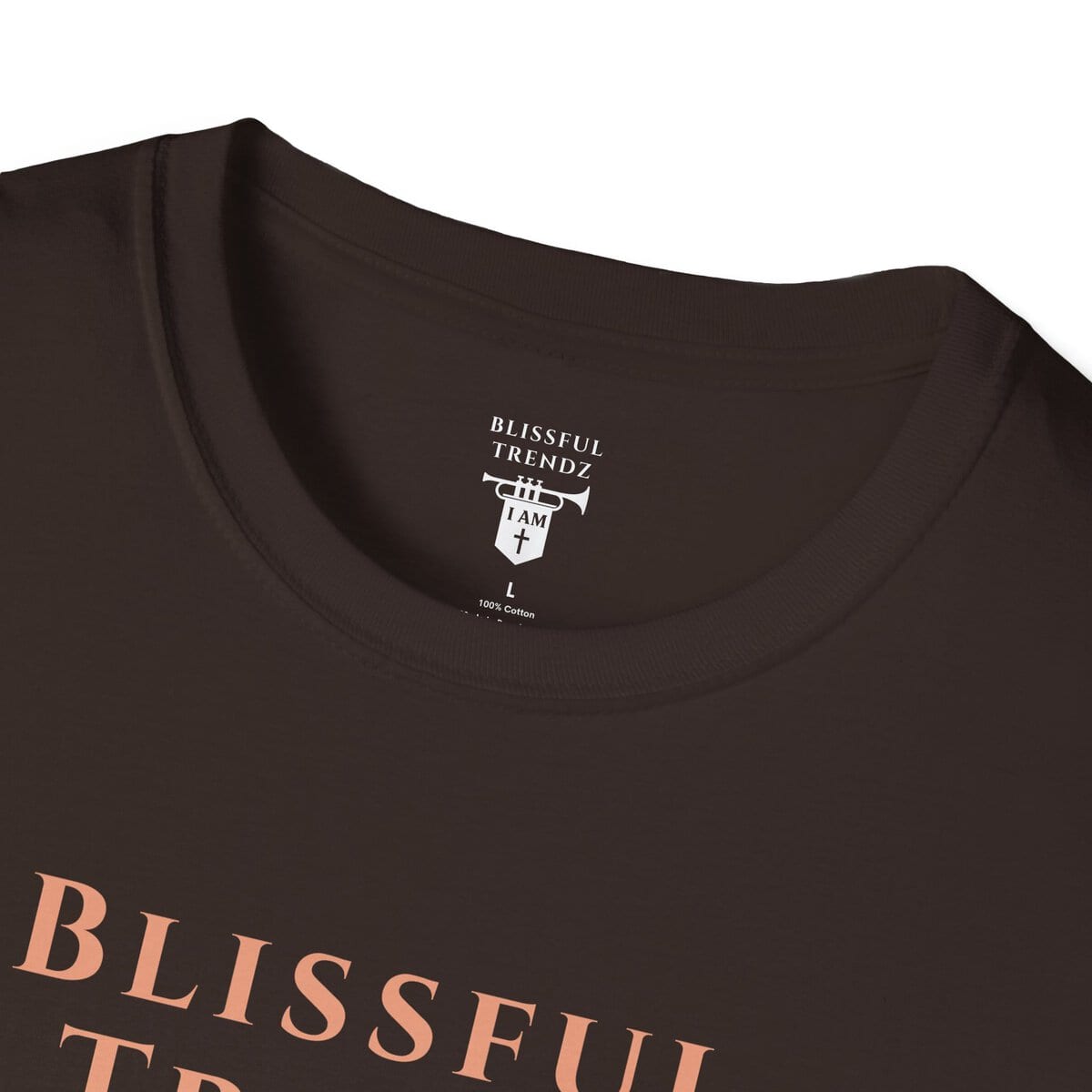 Blissful Trendz - I AM - Banners For The Battle - Raised For The Nations - PCH - Unisex Softstyle T-Shirt - Image 8