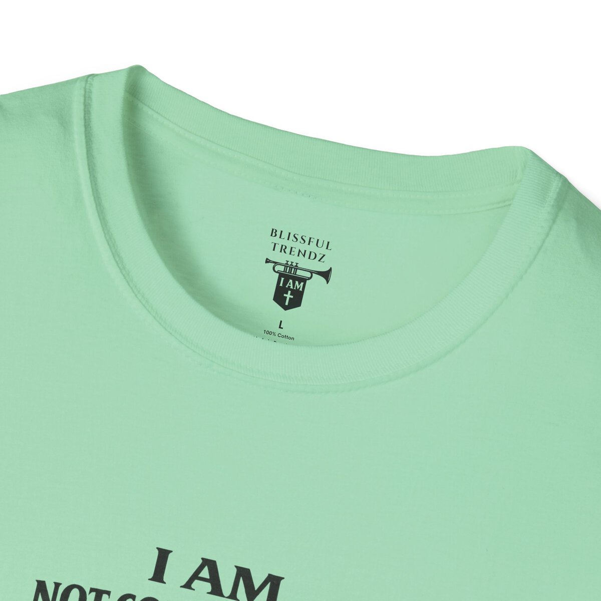 I AM Not Conforming - ROMANS 12:2 - Walking Against Current - Unisex Softstyle T-Shirt - Image 26