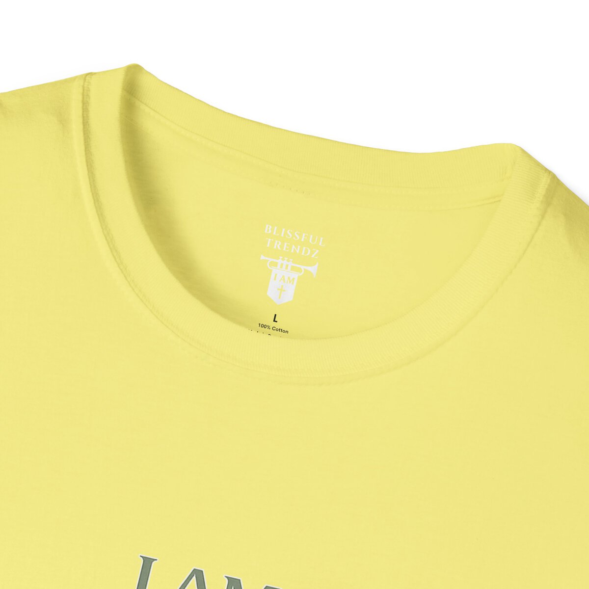 I AM Walking the Narrow Road - 1 JOHN 2:6 - Cross - SGE - Unisex Softstyle T-Shirt - Image 11