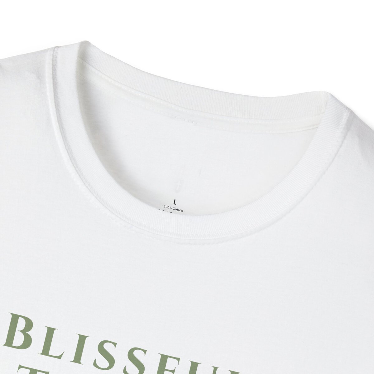 Blissful Trendz - I AM - Banners For The Battle - Raised For The Nations - SGE - Unisex Softstyle T-Shirt - Image 5