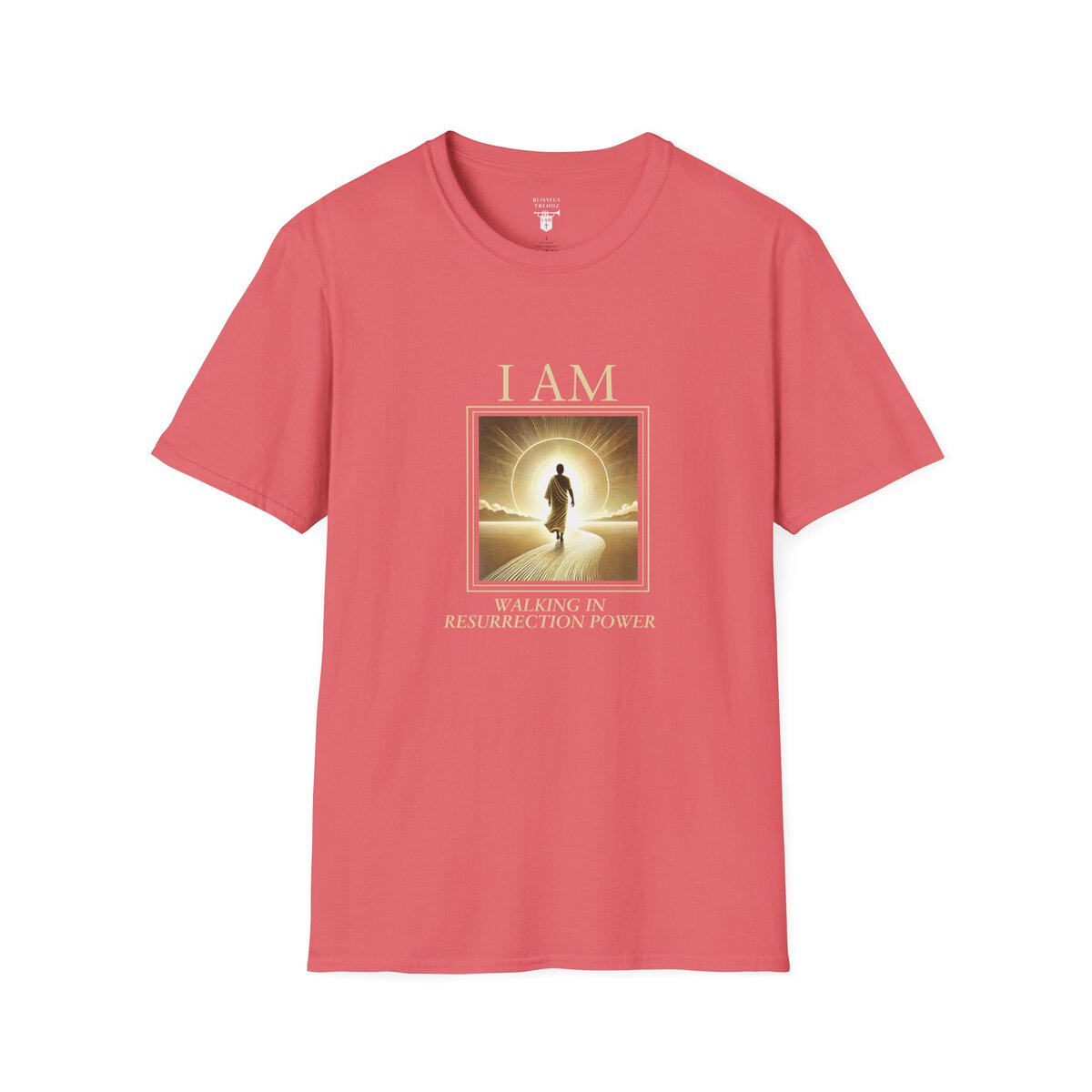 I AM Walking In Resurrection Power - Golden Path - Unisex Softstyle T-Shirt - Image 34