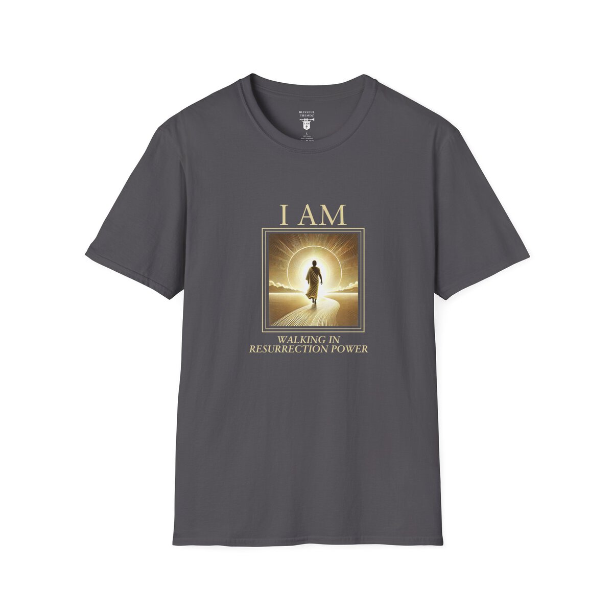 I AM Walking In Resurrection Power - Golden Path - Unisex Softstyle T-Shirt - Image 19