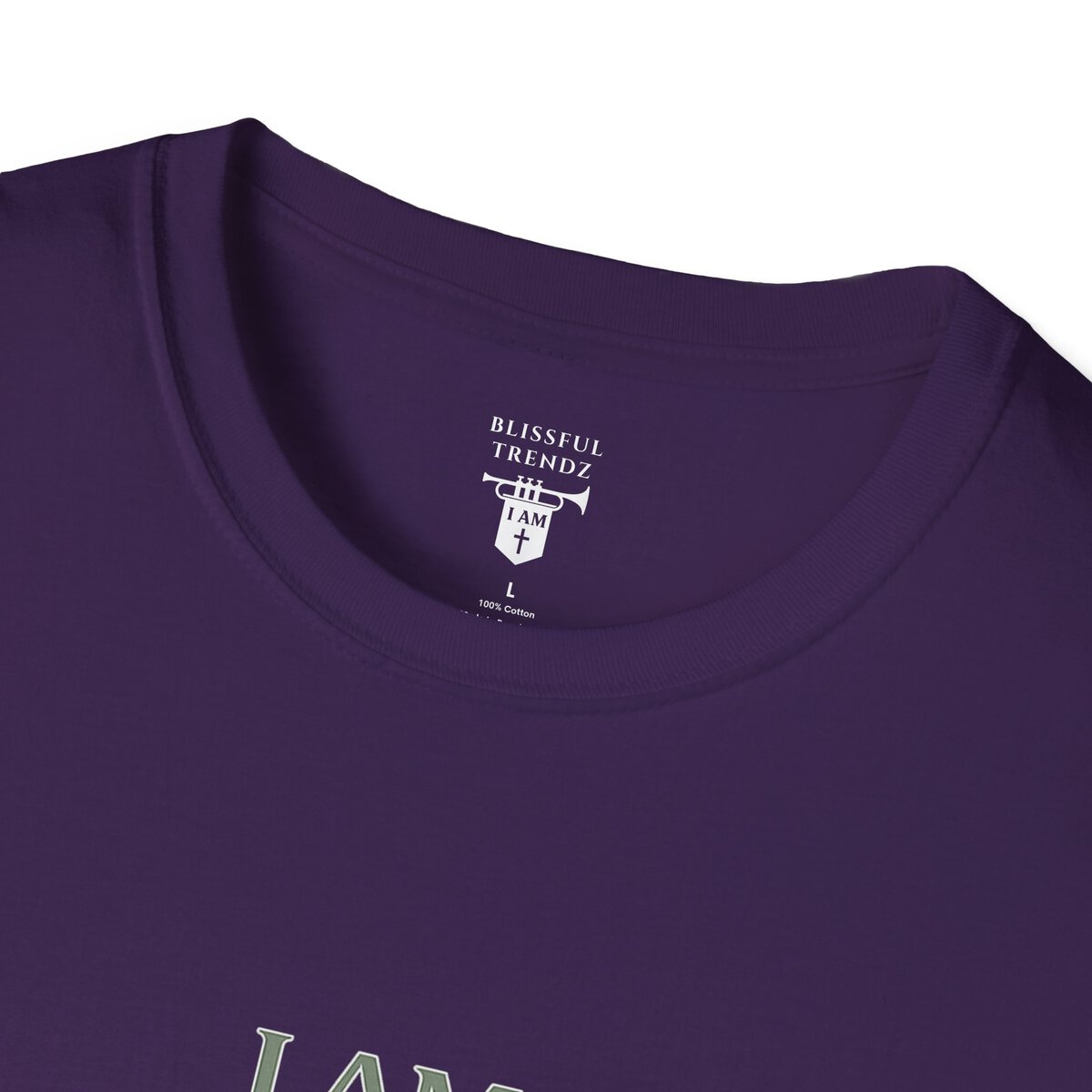 I AM Walking the Narrow Road - 1 JOHN 2:6 - Cross - SGE - Unisex Softstyle T-Shirt - Image 29